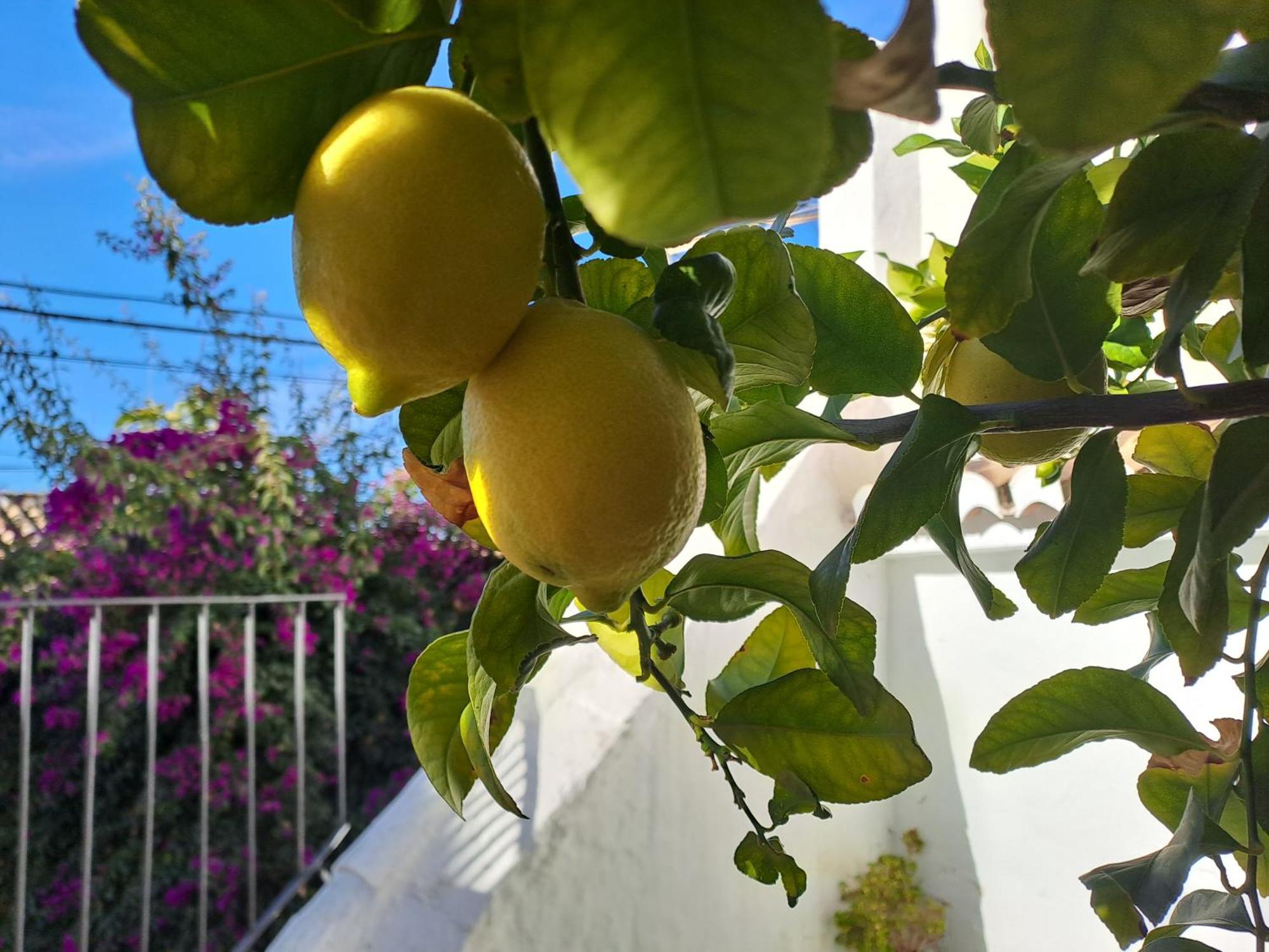 Apartamento Casa Alhambra - Centro Histórico con Jardín Privado Granada Exterior foto