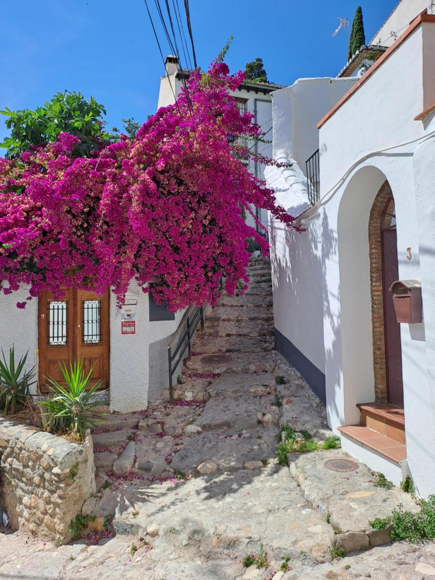 Apartamento Casa Alhambra - Centro Histórico con Jardín Privado Granada Exterior foto